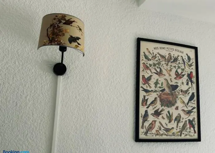 Appartement Ideal Couple & Famille,vue - Quartier Calme Parking Gratuit - Climatisation - Animaux Acceptes